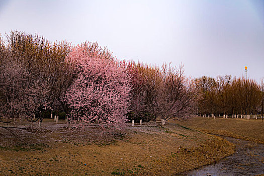 北京奥林匹克公园