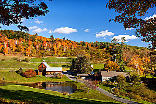 秋天,漂亮,断头谷农场,靠近,佛蒙特州,美国
