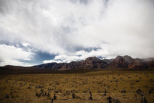 红岩峡谷,国家保护区,内华达,美国