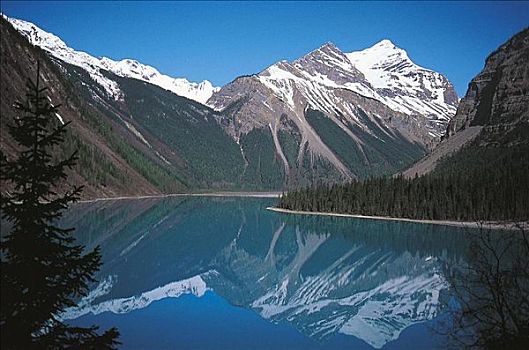 湖,罗布森山,公园,不列颠哥伦比亚省,加拿大,北美