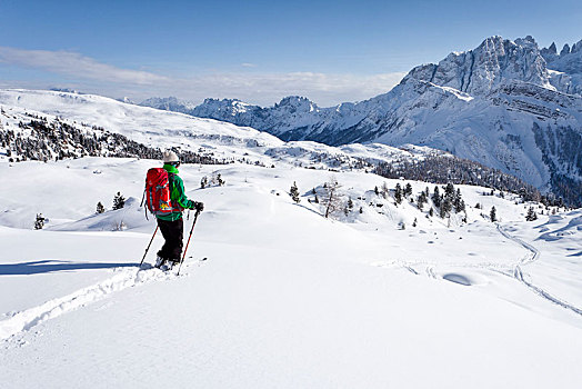 越野滑雪,下降,山,看,帕拉,群体,仰视,特兰迪诺,省,特兰提诺阿尔托阿迪杰,意大利,欧洲