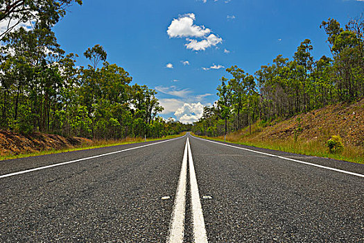 道路,夏天,公路,昆士兰,澳大利亚
