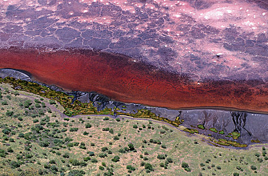 航拍,水,红色,蓝藻,天然碳酸钠,大裂谷,坦桑尼亚,非洲
