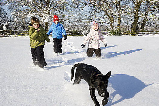 孩子,狗,跑,雪地
