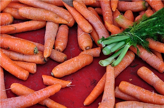 胡萝卜,时萝,蔬菜,背景