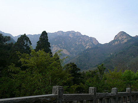 泰山