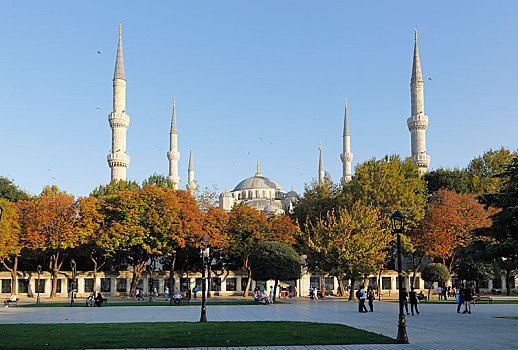 蓝色清真寺,苏丹,清真寺,藍色清真寺,广场,伊斯坦布尔,欧洲,省,土耳其