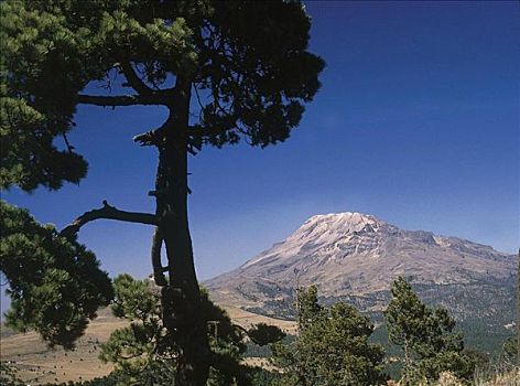 火山,山,松树,针叶树,墨西哥,中美洲,美国