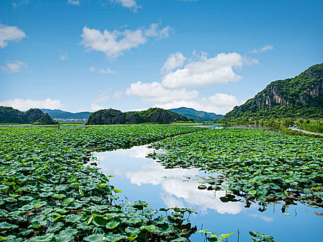 云南省文山州丘北县普者黑景区