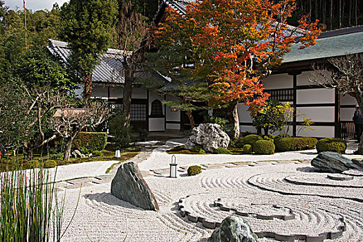 日本寺庙,花园,秋天,京都,日本