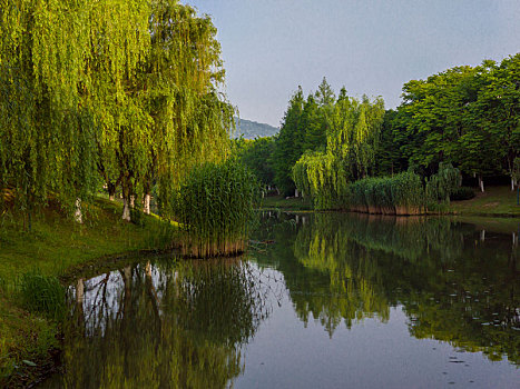 江南大学校园景观