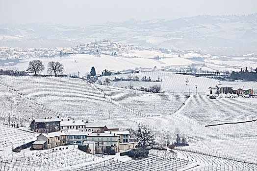 库内奥,地区,意大利,产酒区,冬天,雪
