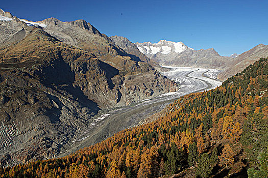 冰河,秋天,瓦莱,瑞士,欧洲