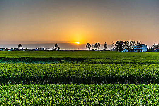 乡村傍晚风景