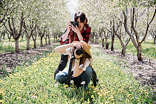 两个女人,相机,拍照,果园