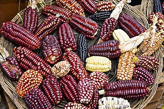 俯拍,篮子,彩色,玉米,市场货摊,库斯科市,秘鲁