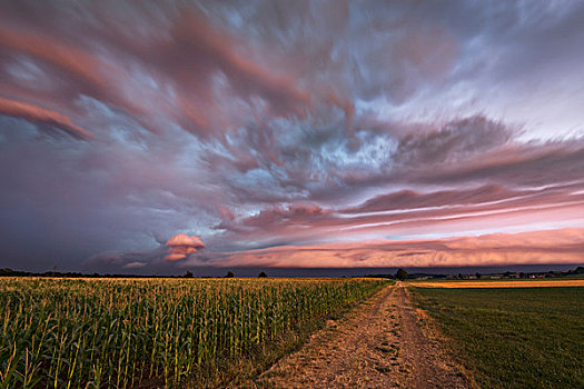 雷暴,风暴,云,天空,地点,玉米,彩色,风,天气