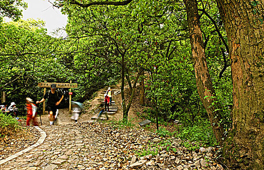 杭州西山游步道
