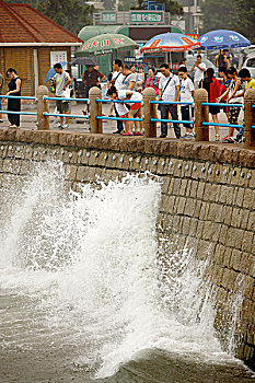 青岛,栈桥,海岸