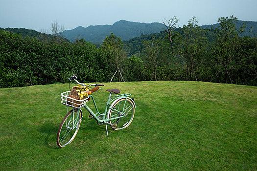 绿色草地上的自行车