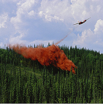 消防,飞机,落下,火灾,树林