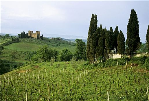 意大利,托斯卡纳,赭色,地区,城堡