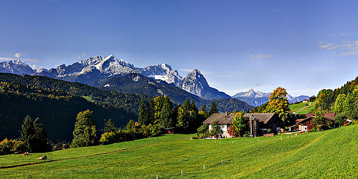 山,农场,风景,楚格峰