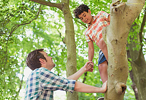 父亲,帮助,儿子,攀登,树