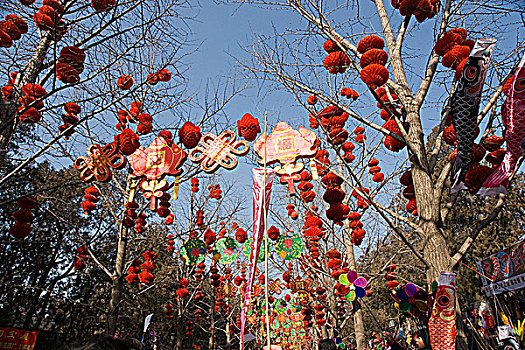 2008年北京地壇春節廟會