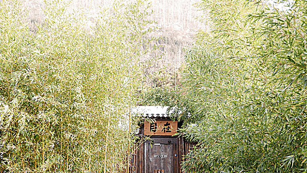 终南山古观音禅寺