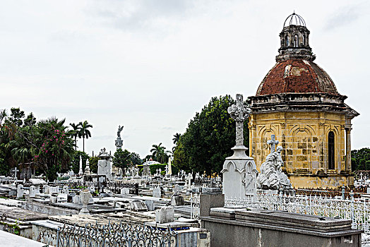 古巴,哈瓦那,墓地,世界