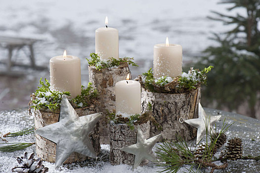 白色,蜡烛,苔藓,桦树,茎