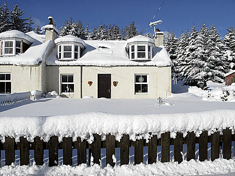 苏格兰,阿伯丁,风景,屋舍,冬天,雪