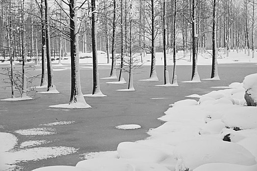 雪景