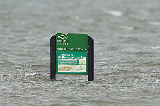 沿岸,湿地,洪水,海洋,英国,自然,标识,水下,满潮,诺福克,英格兰,欧洲