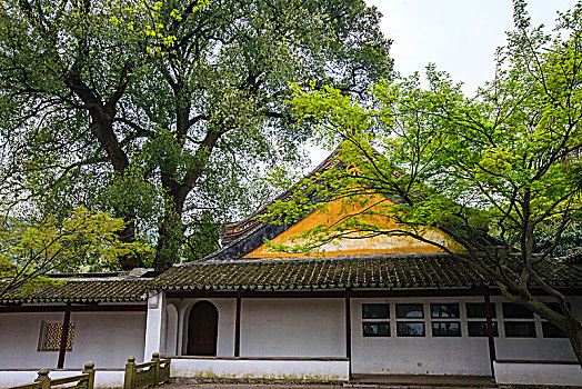 江苏,常熟,兴福寺,寺院,建筑,古刹