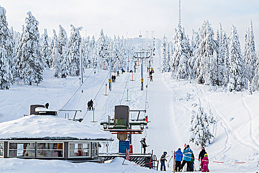人群,靠近,滑雪缆车,树林,积雪,树