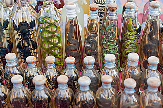 老挝,朗姆酒,瓶子,蛇,展示,市场货摊,琅勃拉邦,东南亚