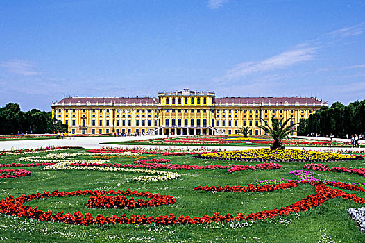 奥地利,维也纳,美泉宫,花,前景