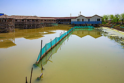 宁海,宁东渔庄,木桥,建筑,房子,木结构,走廊