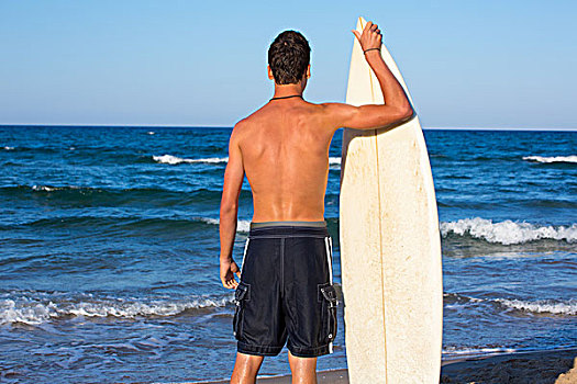 男孩,冲浪,背影,后视图,拿着,冲浪板,蓝色背景,海滩