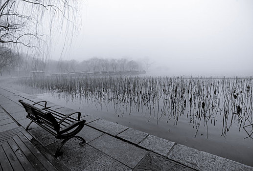 雾蒙蒙大明湖