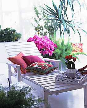 白色,漆器,户外,躺椅,枕头,盆栽,郁金香,托盘