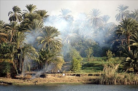 风景,尼罗河,埃及,非洲