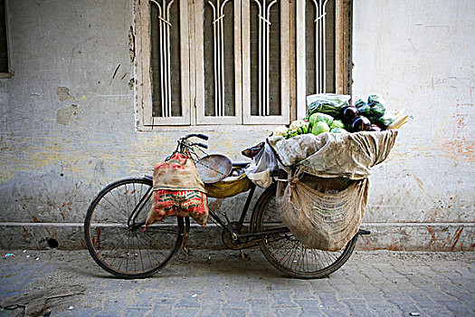 自行车,蔬菜,墙壁,德里,印度
