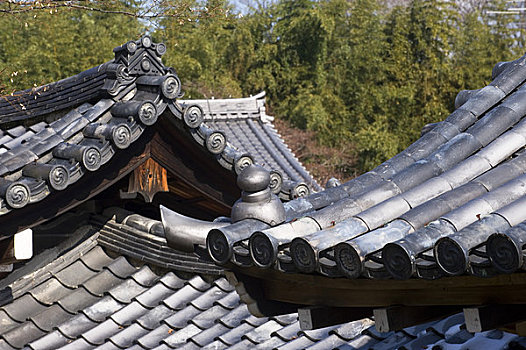 日本,京都,岚山,佛教,屋顶,建筑