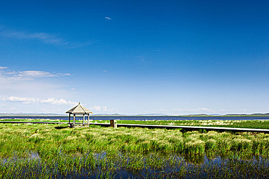 四川花湖