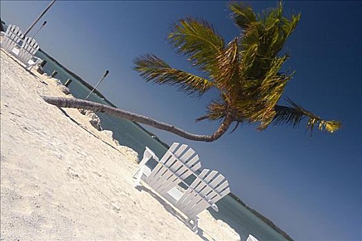 空,宽木躺椅,棕榈树,海滩