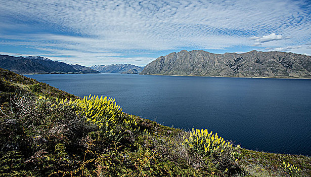新西兰,联邦,皇后镇,瓦卡蒂普湖