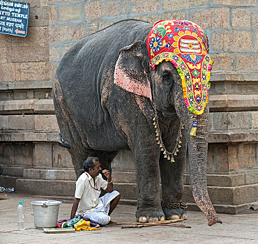 装饰,庙宇,大象,驱象者,地区,安曼,马杜赖,泰米尔纳德邦,印度,亚洲